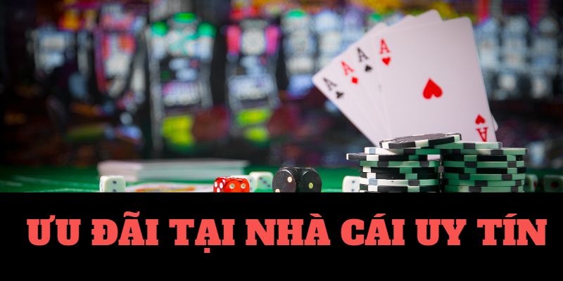 Nhà cái uy tín nhất Việt Nam gọi tên anh tài cmd368