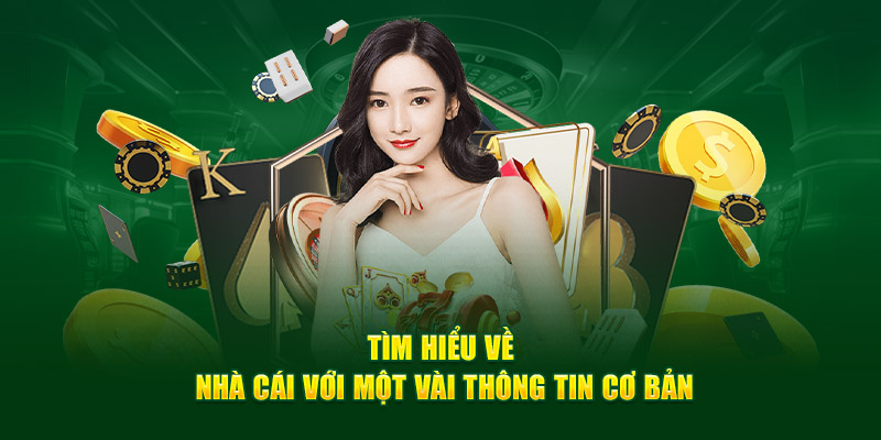 shbet-Code tân thủ - Cơ hội để bắt đầu một cuộc phiêu lưu mới!